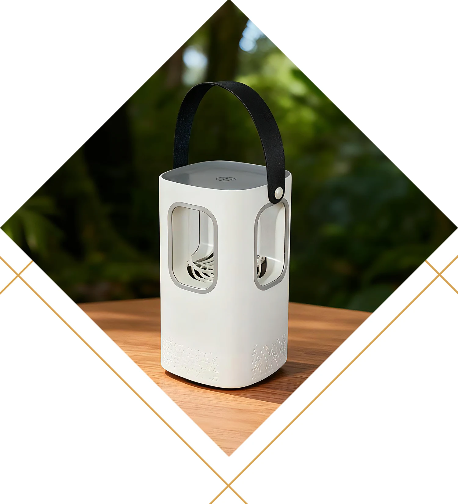 Assassino de mosquitos Assassino de mosquitos